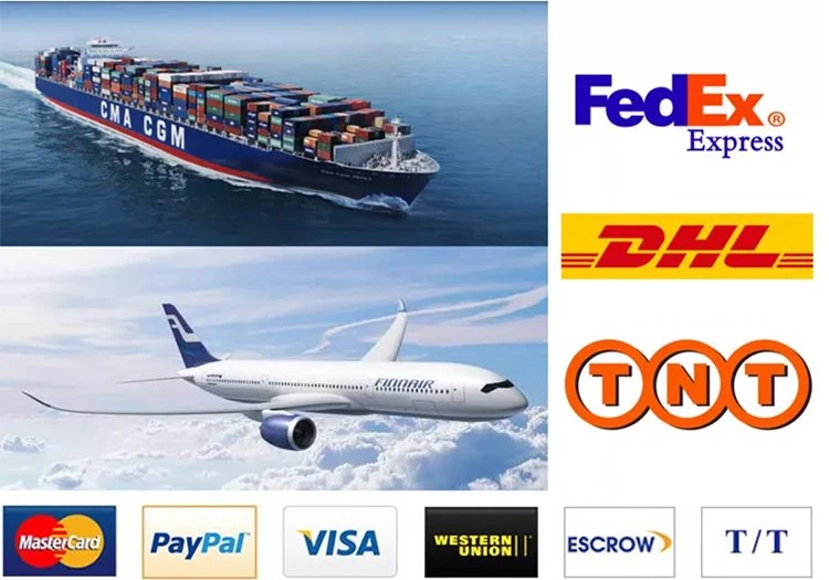 shipping